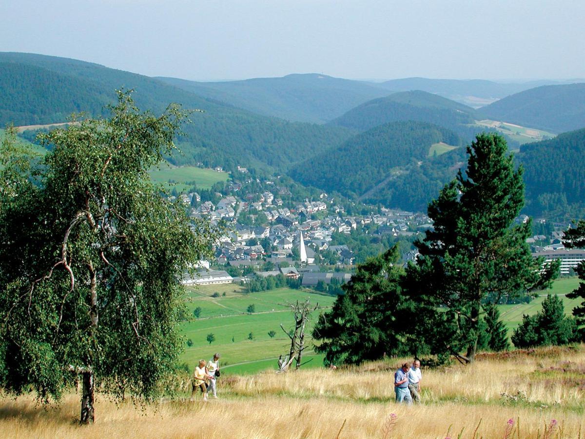 Ferienblockhaus Willingen Mit Meinecardplus エクステリア 写真