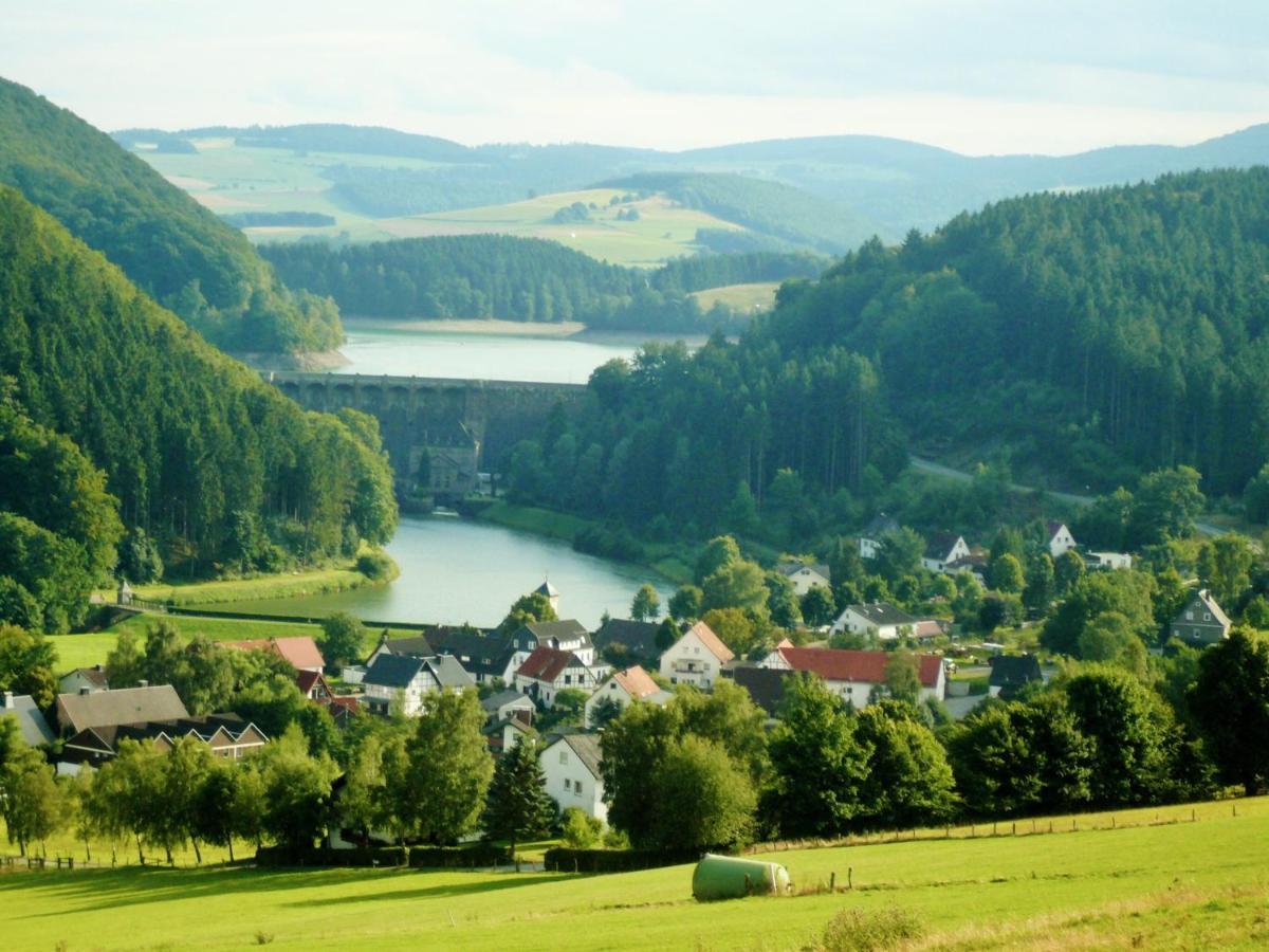 Ferienblockhaus Willingen Mit Meinecardplus エクステリア 写真