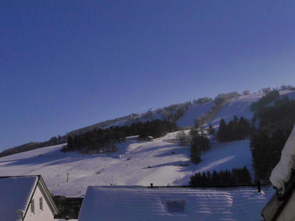 Ferienblockhaus Willingen Mit Meinecardplus エクステリア 写真