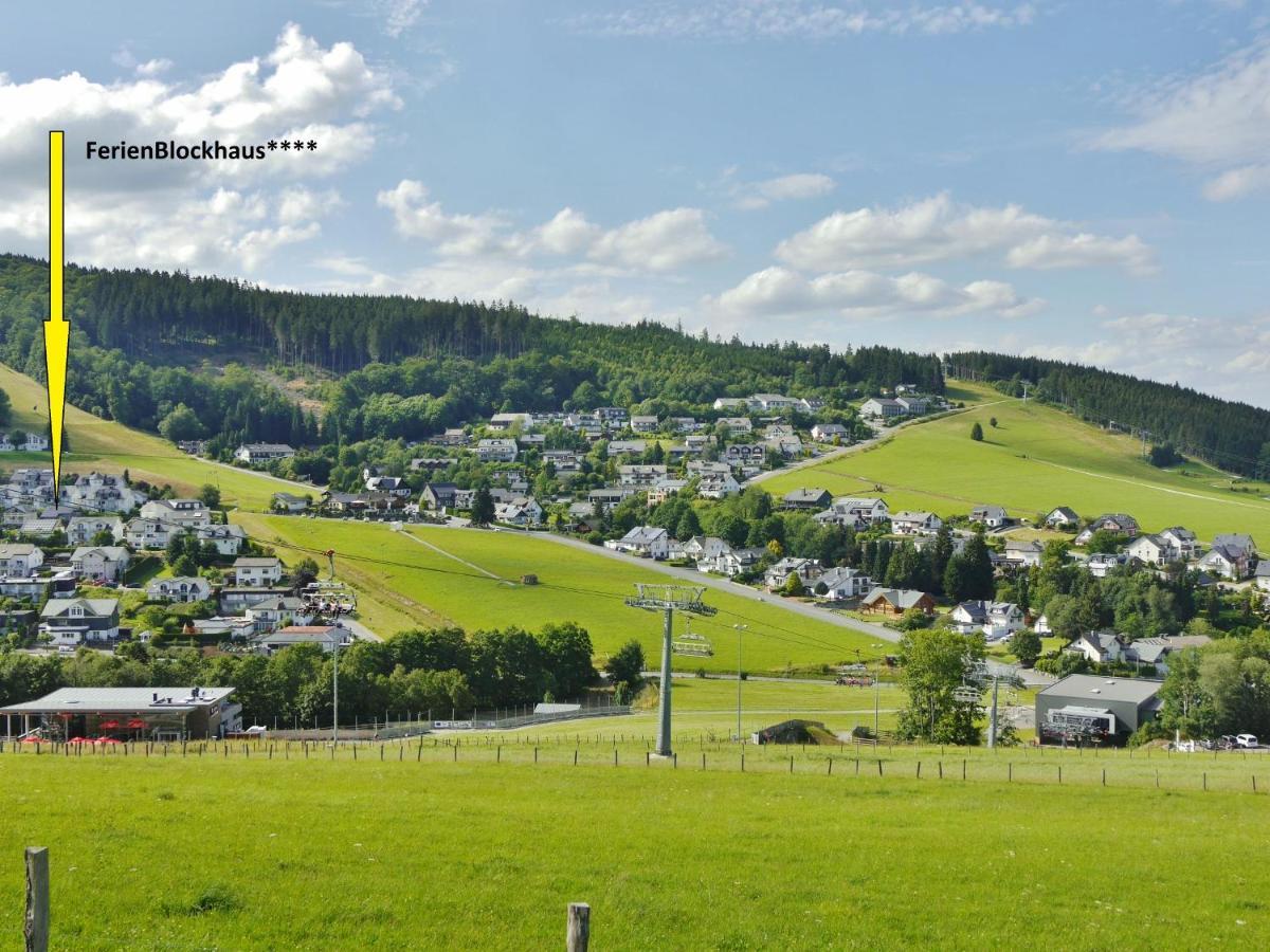Ferienblockhaus Willingen Mit Meinecardplus エクステリア 写真