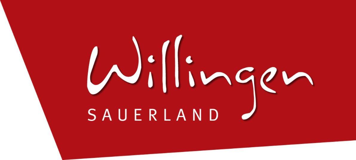 Ferienblockhaus Willingen Mit Meinecardplus エクステリア 写真
